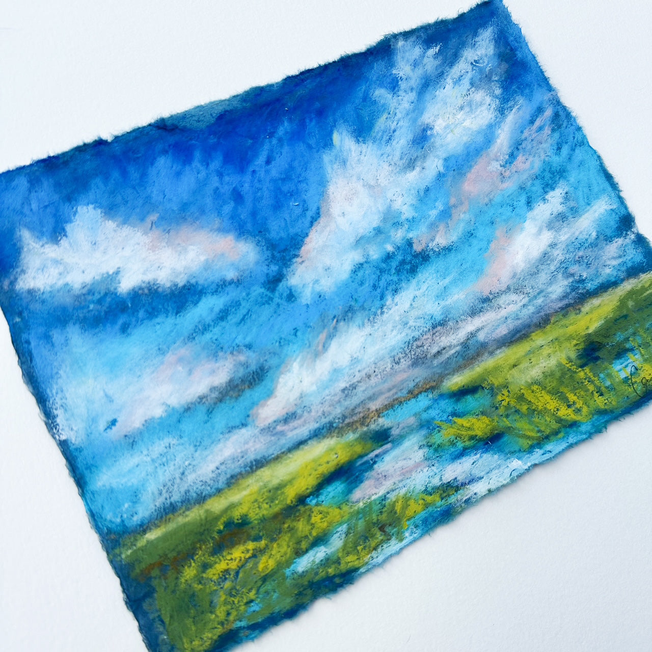 Indigo Marsh vii