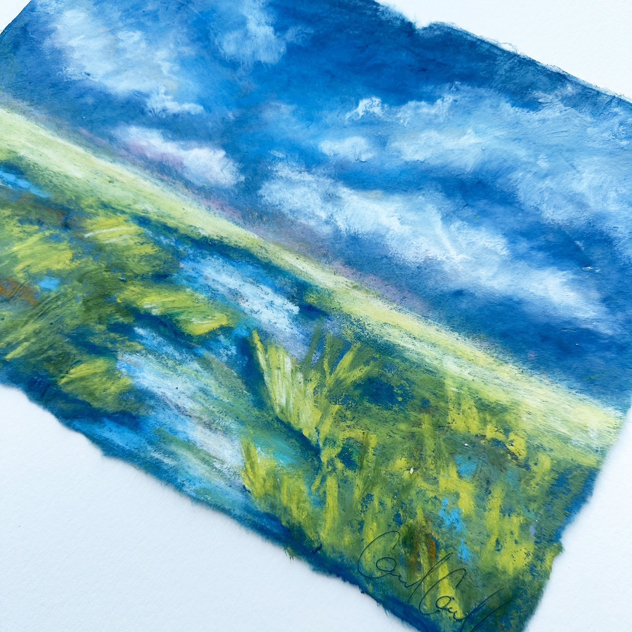 Indigo Marsh viii