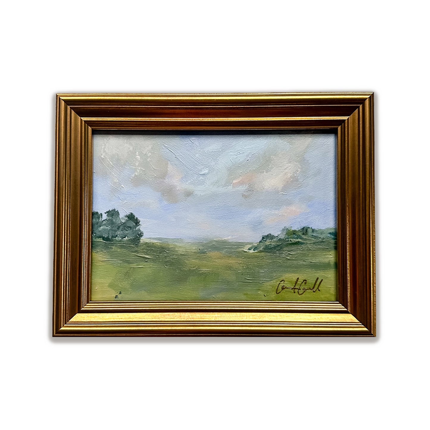 Meadow 4