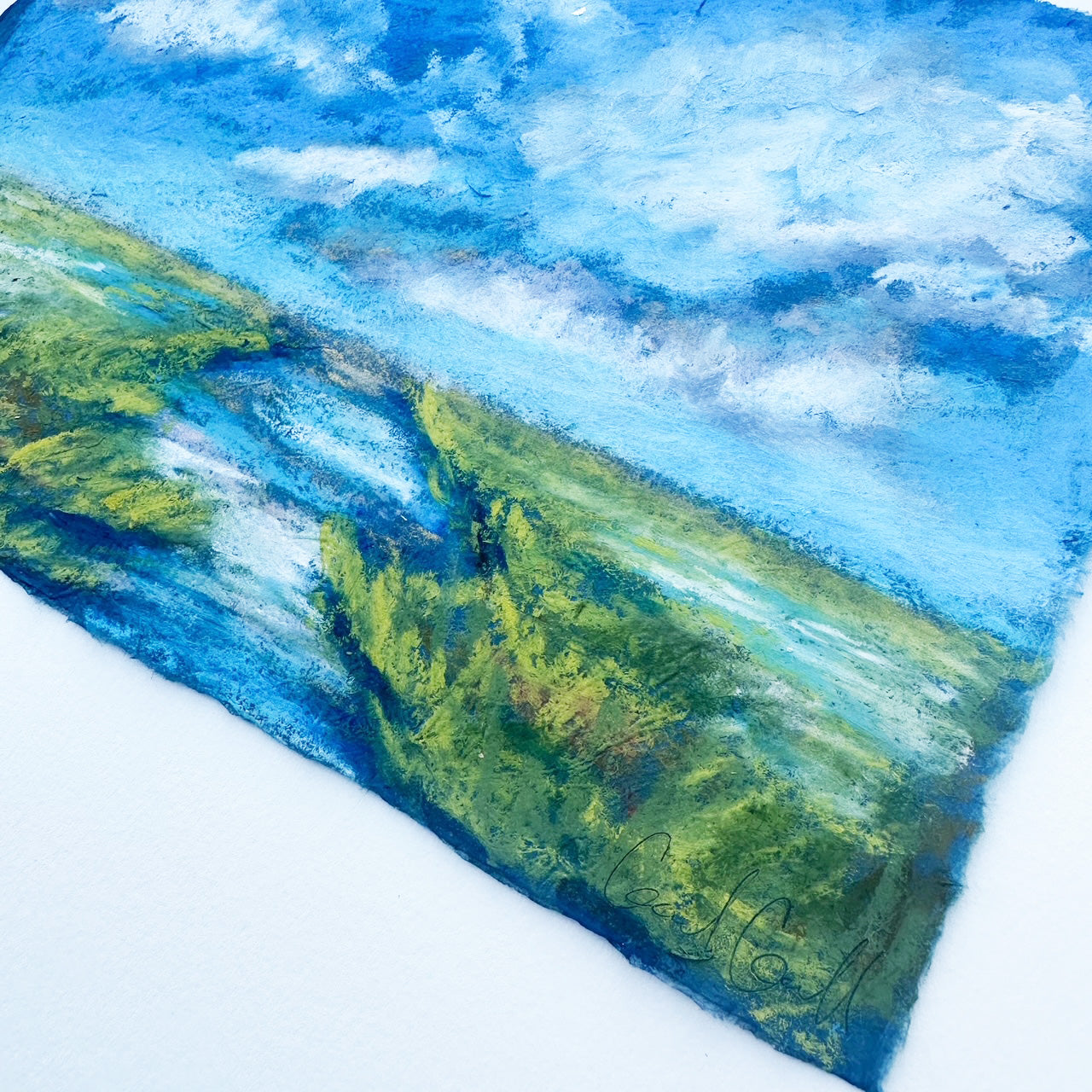 Indigo Marsh ii