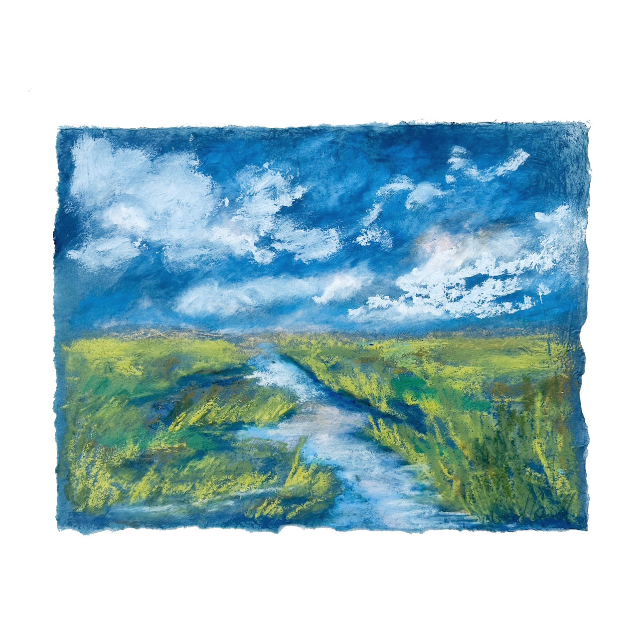 Indigo Marsh vi