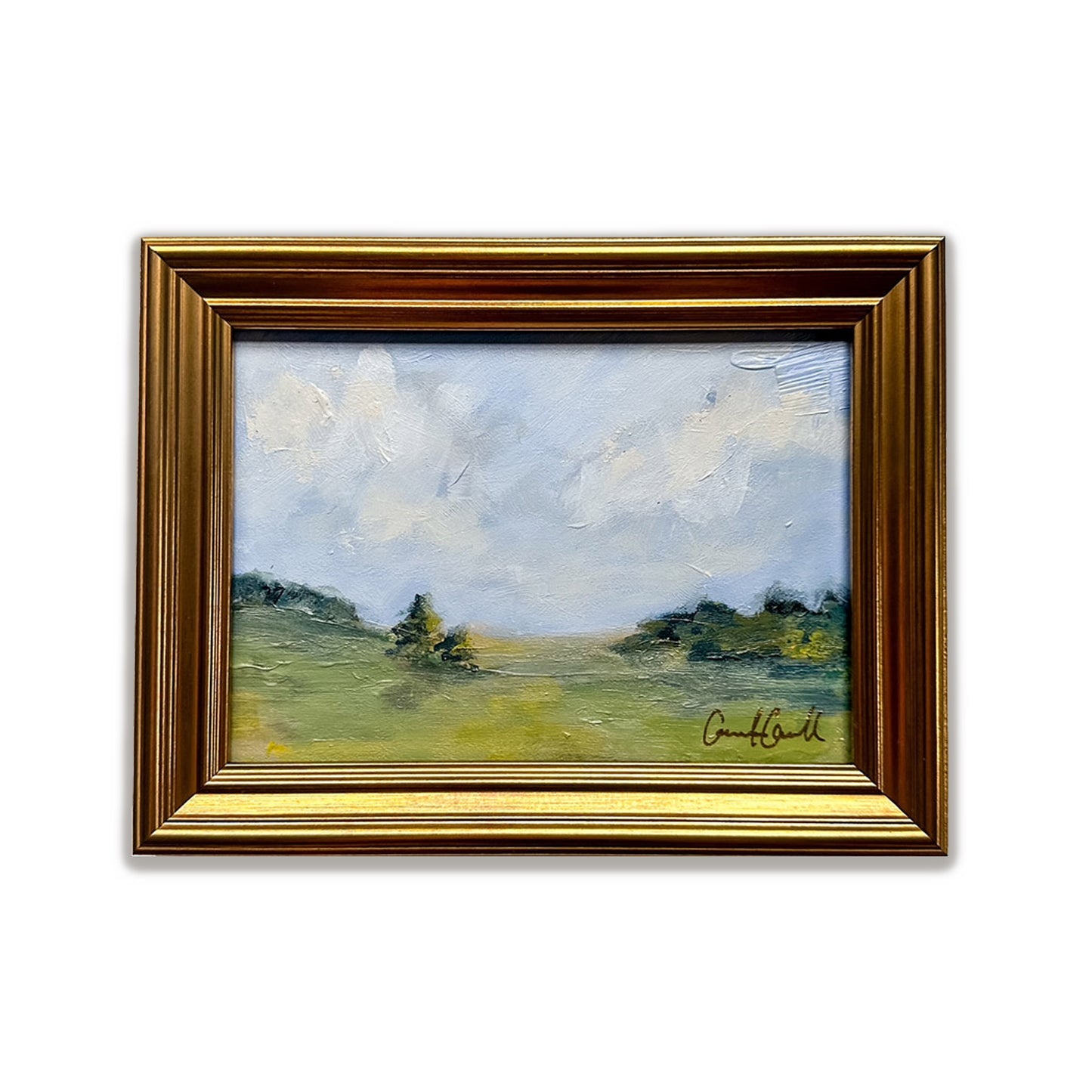 Meadow 5