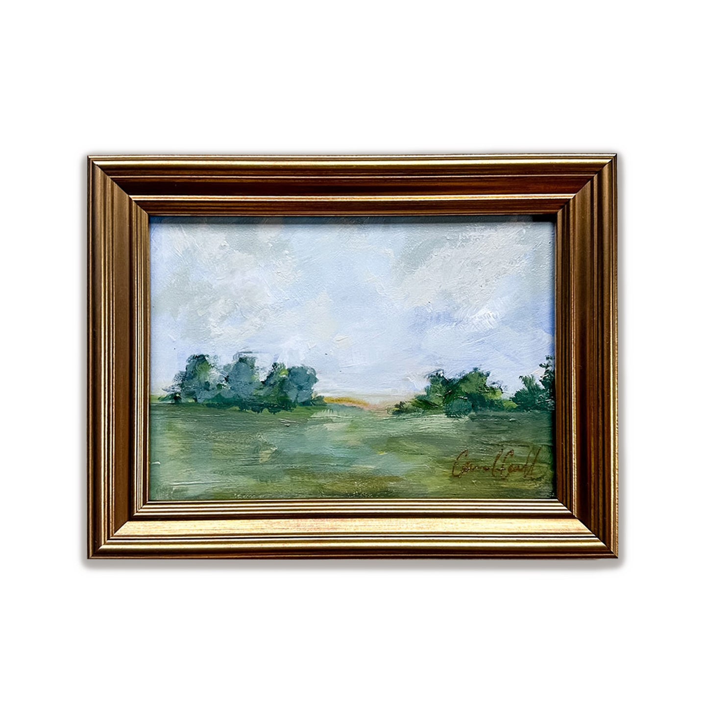 Meadow 9